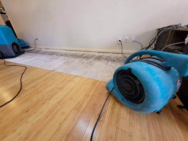 Professional Flood Damage Cleanup technician working in Baldwyn, MS